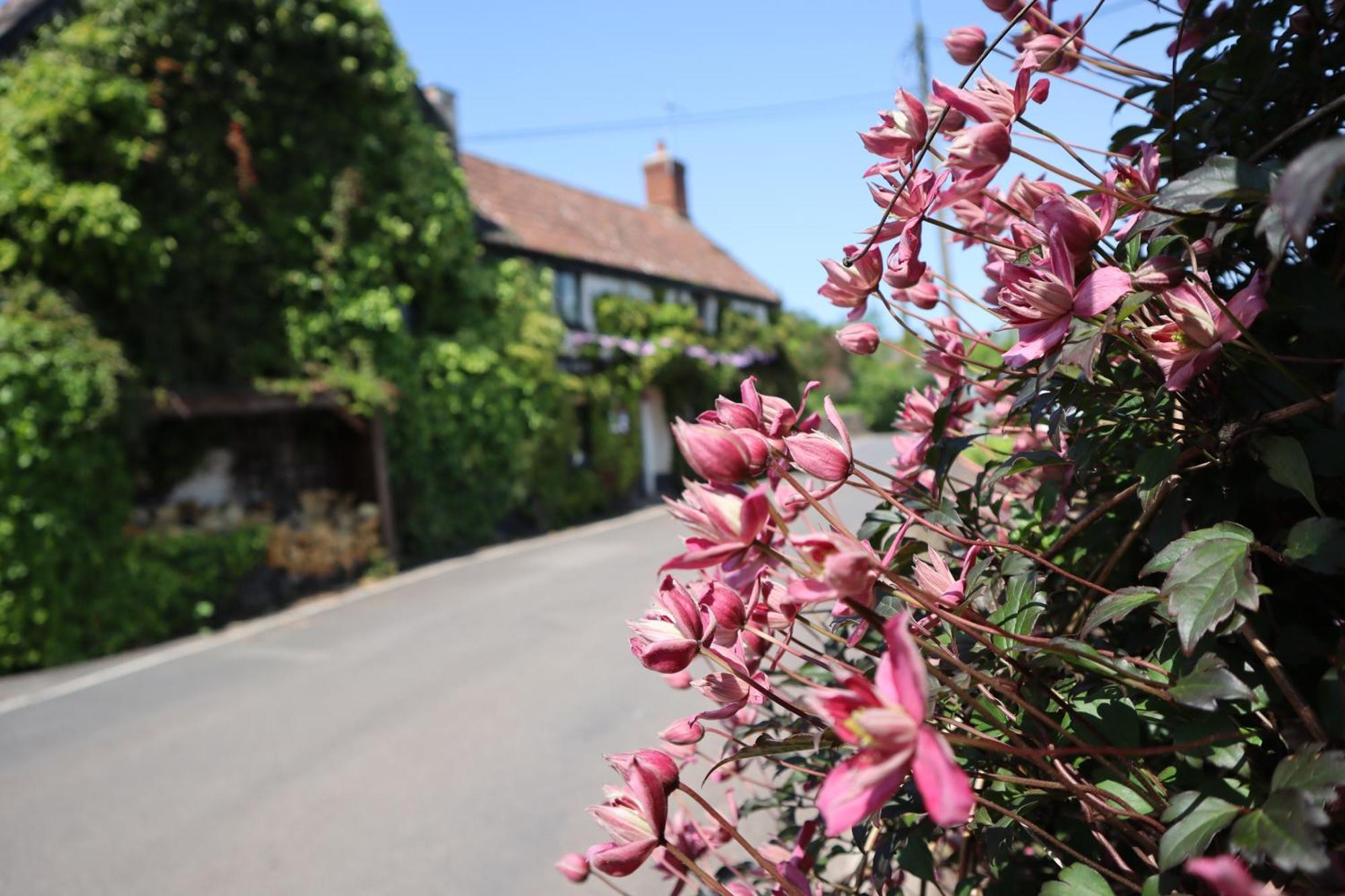The White Horse Inn Washford Esterno foto