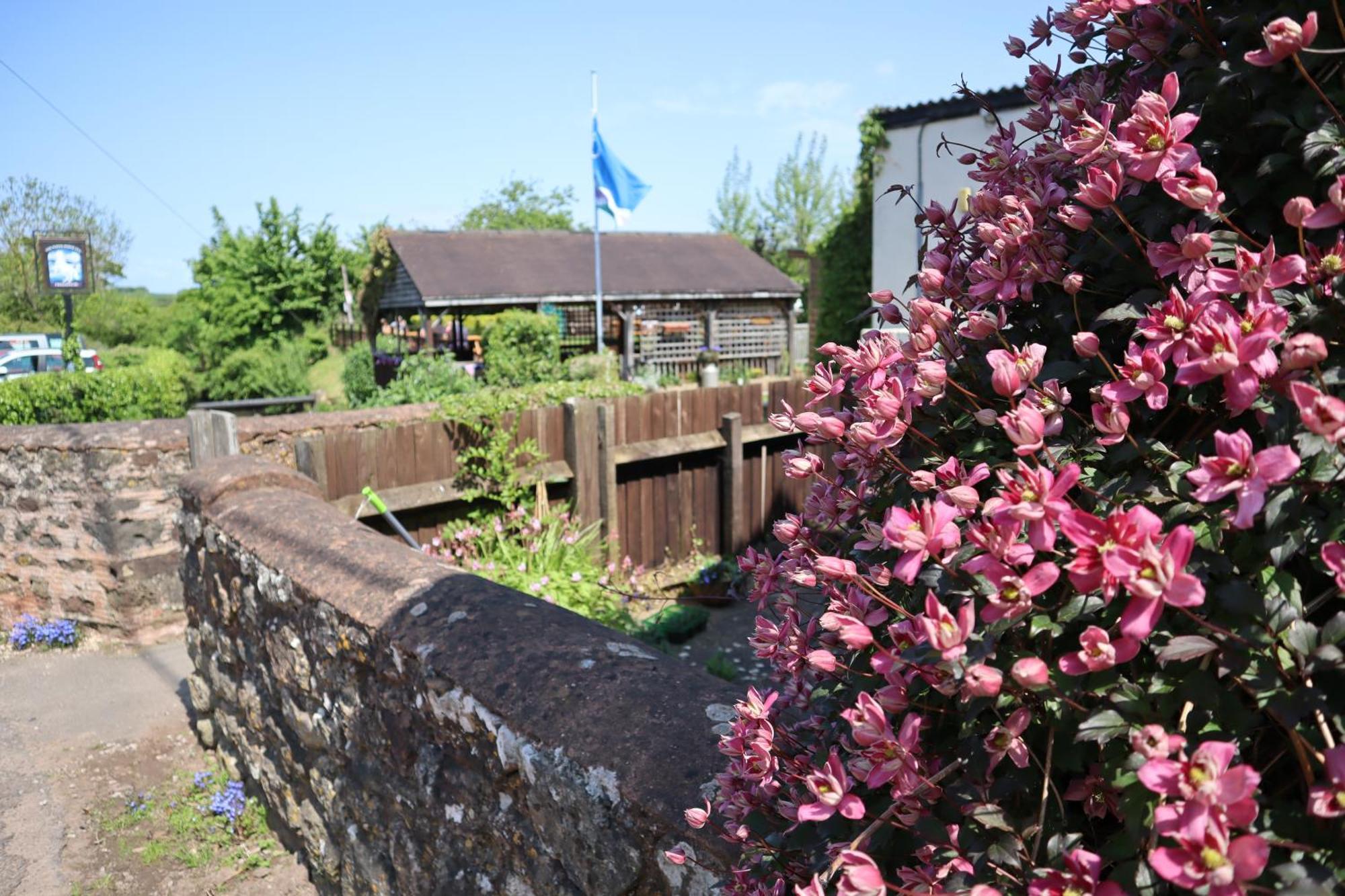 The White Horse Inn Washford Esterno foto